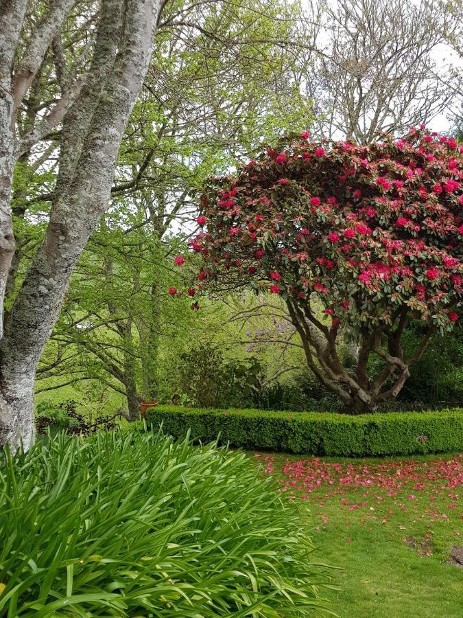 Omaka Lodge Taumarunui Kültér fotó