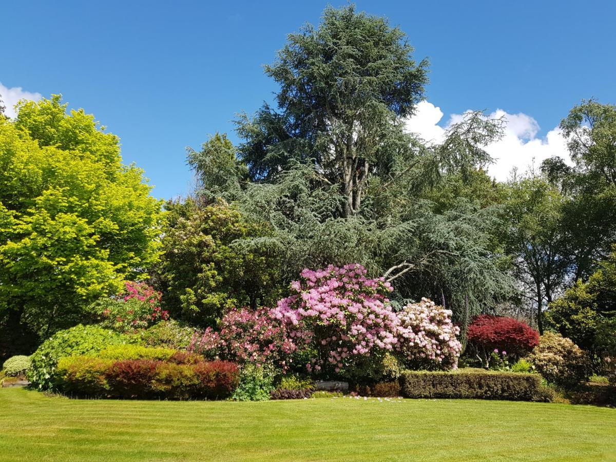 Omaka Lodge Taumarunui Kültér fotó